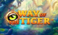 Way of The Tiger Slot