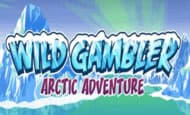 Wild Gambler Arctic Adventure Slot