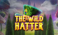 Wild Hatter Slot