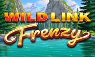 Wild Link Frenzy Slot
