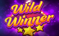 Wild Winner Slot