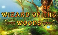 Wizard of the Woods Slot