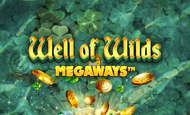 Well of Wilds Megaways Slot