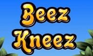 Beez Kneez Slot Game