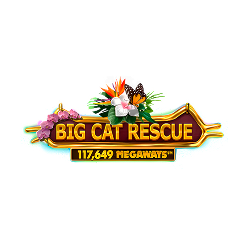 Big Cat Rescue Megaways Slot