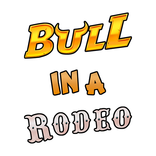 Bull in a Rodeo