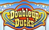 Double Up Ducks Slot