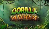 Gorilla Mayhem Slot