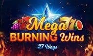Mega Burning Wins Slot