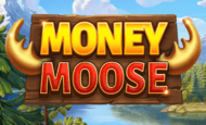 Money Moose Slot