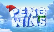 Peng Wins Slot Game