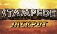 Stampede Jackpot Casino Game