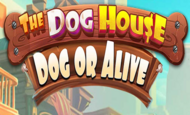 The Dog House  Dog or Alive Slot