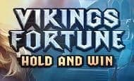 Vikings Fortune: Hold and Win Slot