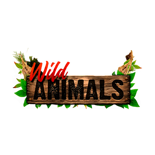 Wild Animals Slot