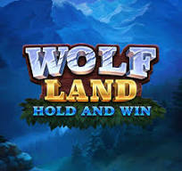 Wolf Land Hold and Win Slot